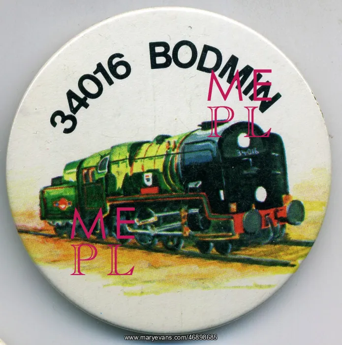 : badges - 34016 BODMIN, multi colour, watercolour : badges - 34016 BODMIN, multi colour, watercolour