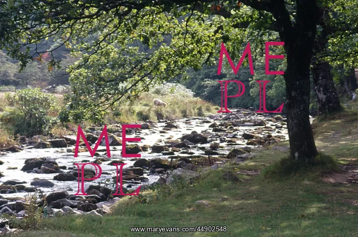 : Badgworthy Water, Somerset : Badgworthy Water, Somerset