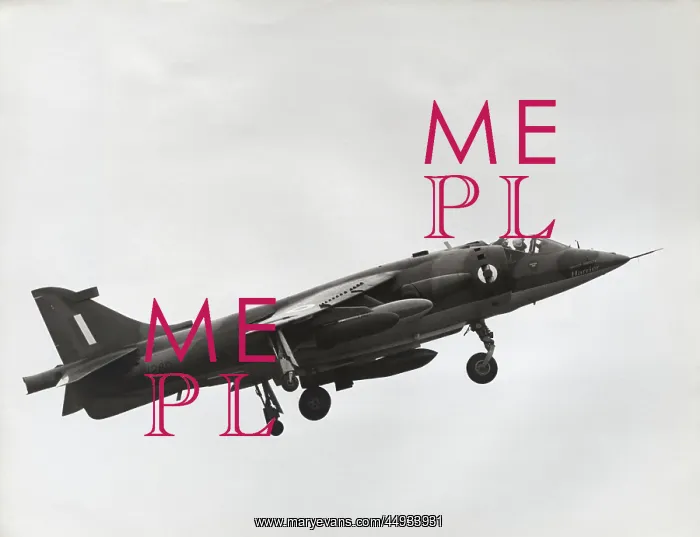: BAE Harrier GR-1 : BAE Harrier GR-1