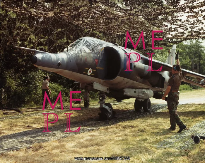 : BAE Harrier GR-3 : BAE Harrier GR-3