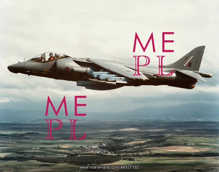 : BAE Harrier GR-5 : BAE Harrier GR-5