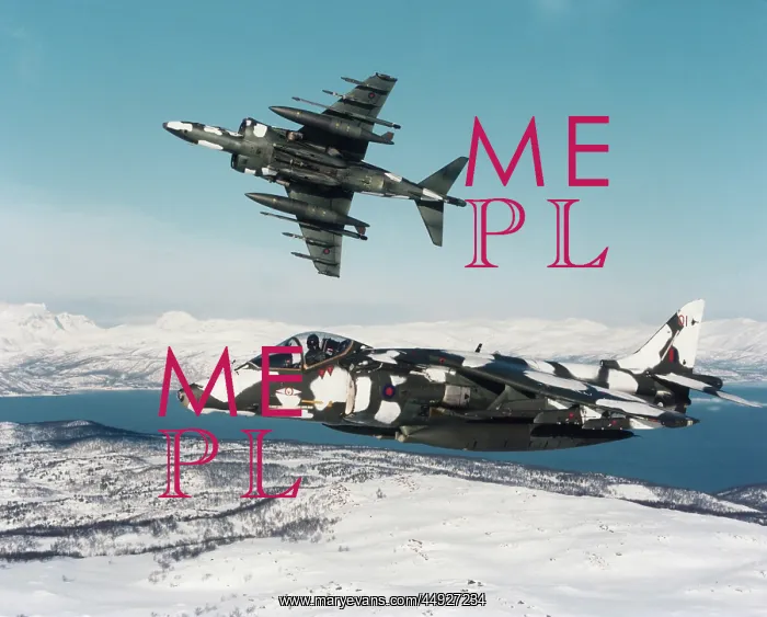 : BAE Harrier GR-5 : BAE Harrier GR-5