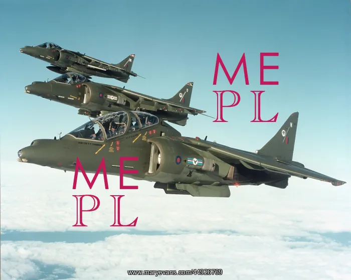 : BAE Harrier T-10 : BAE Harrier T-10