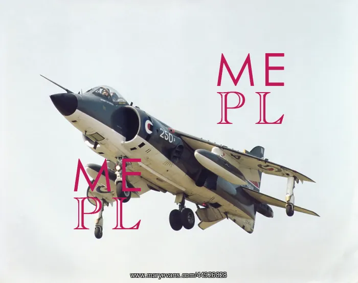  : BAE Sea Harrier FRS-1