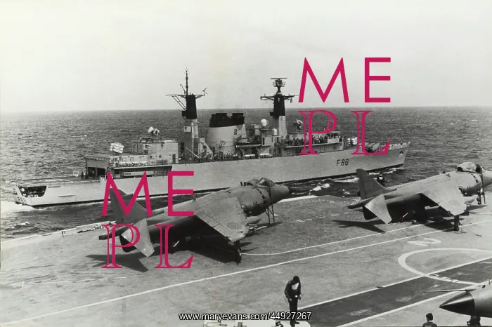 : BAE Sea Harrier FRS-1 : BAE Sea Harrier FRS-1