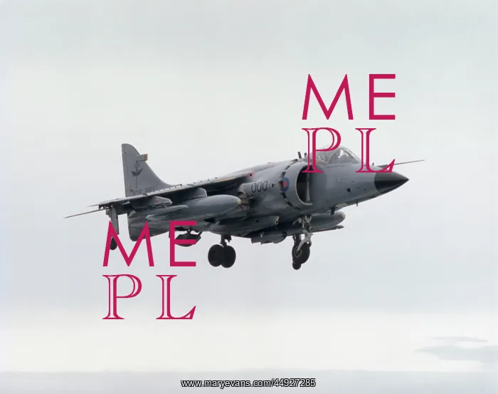 : BAE Sea Harrier FRS-1 : BAE Sea Harrier FRS-1