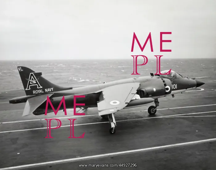 : BAE Sea Harrier FRS-1 : BAE Sea Harrier FRS-1
