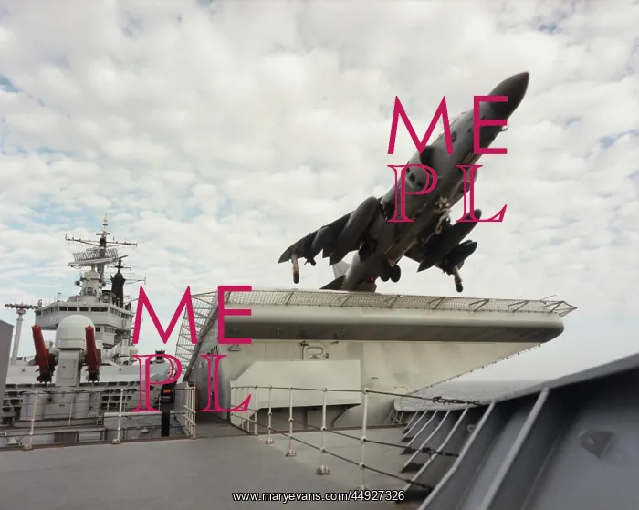 : BAE Sea Harrier FRS-1 : BAE Sea Harrier FRS-1