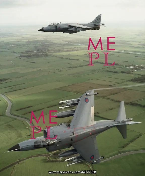 : BAE Sea Harrier FRS-1 : BAE Sea Harrier FRS-1