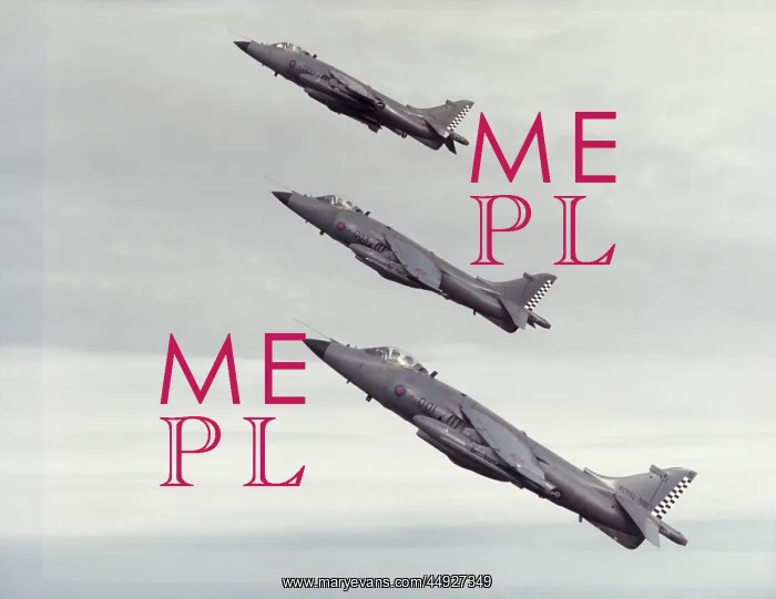 : BAE Sea Harrier FRS-1 : BAE Sea Harrier FRS-1