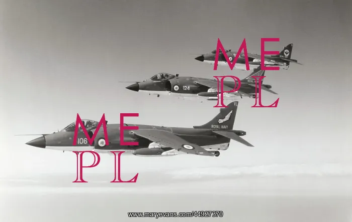 : BAE Sea Harrier FRS-1 : BAE Sea Harrier FRS-1