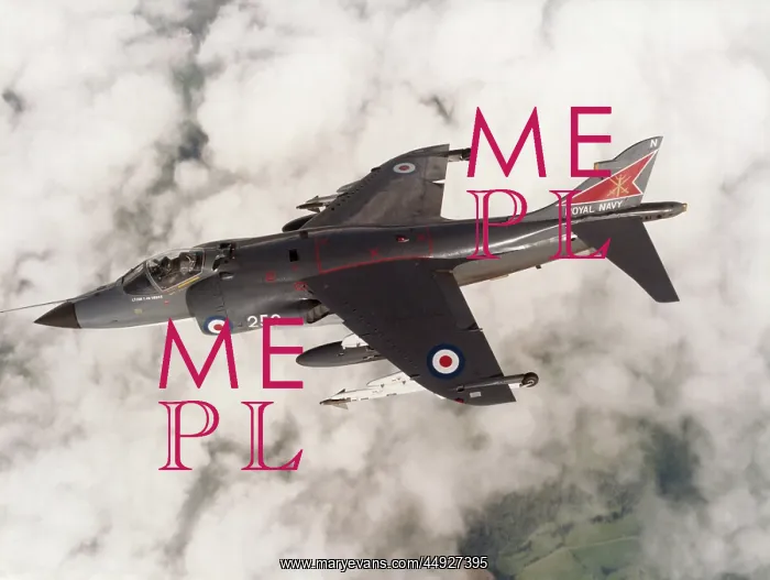: BAE Sea Harrier FRS-1 : BAE Sea Harrier FRS-1
