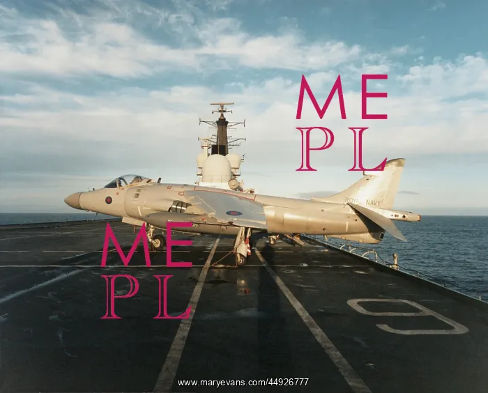 : BAE Sea Harrier FRS-2 : BAE Sea Harrier FRS-2