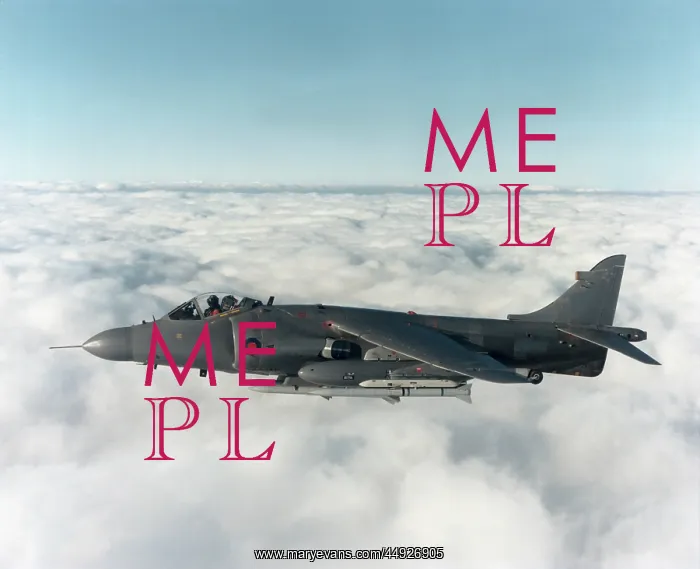 : BAE Sea Harrier FRS-2 : BAE Sea Harrier FRS-2