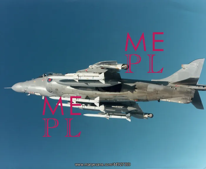 : BAE Sea Harrier FRS-2 : BAE Sea Harrier FRS-2