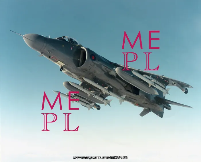 : BAE Sea Harrier FRS-2 : BAE Sea Harrier FRS-2