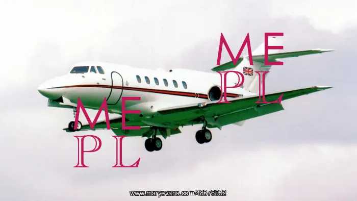 : BAe.125 CC.3 ZE395 : BAe.125 CC.3 ZE395
