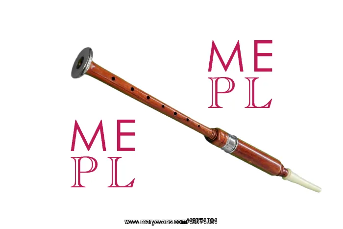 : Bagpipe chanter finger piece : Bagpipe chanter finger piece