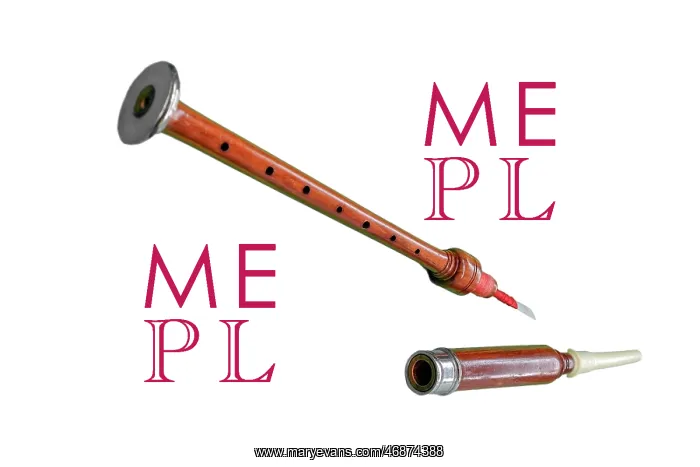 : Bagpipe chanter finger piece with lid : Bagpipe chanter finger piece with lid
