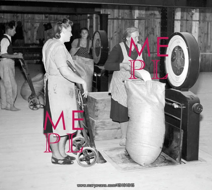 : Bags of sugar on scales : Bags of sugar on scales