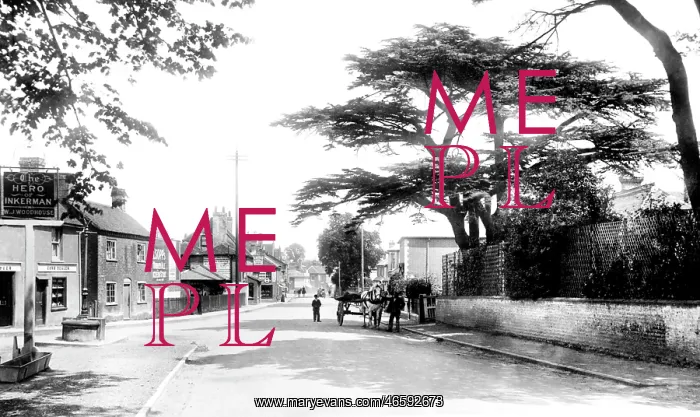  : Bagshot, High Street 1903