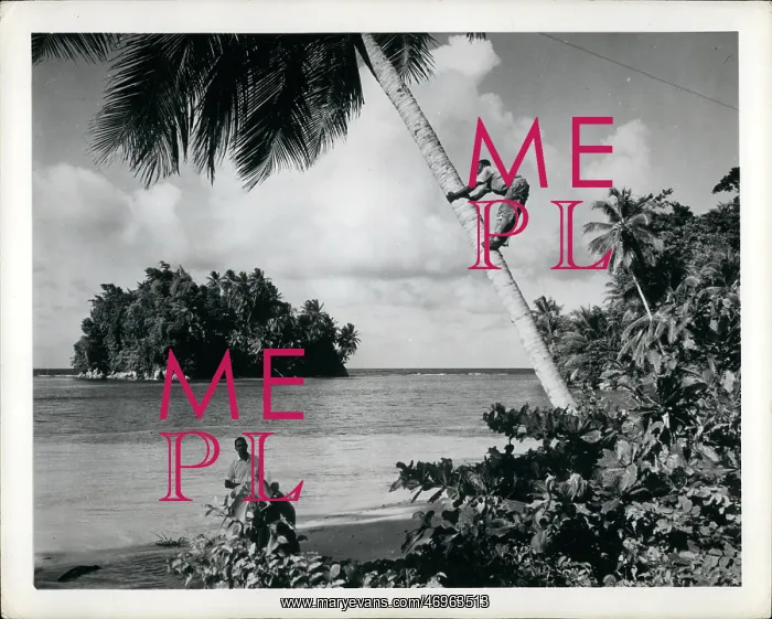 : Bahamas - Bermuda - Jamaica : Bahamas - Bermuda - Jamaica