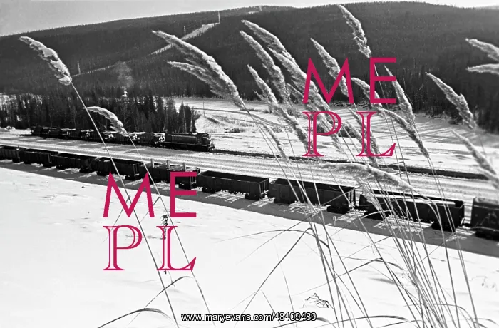 : Baikal-Amur Mainline, 1979 : Baikal-Amur Mainline, 1979