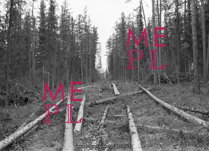 : Baikal-Amur-Mainline construction, 1974 : Baikal-Amur-Mainline construction, 1974
