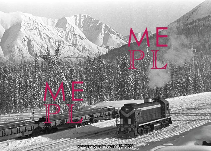 : Baikal-Amur Mainline under construction, 1981 : Baikal-Amur Mainline under construction, 1981