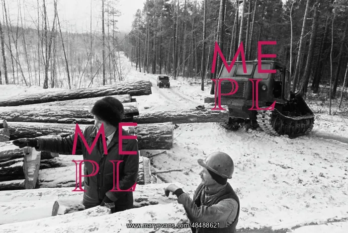 : Baikal forestry : Baikal forestry