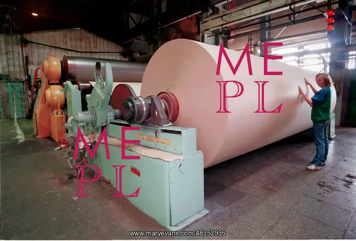 : Baikalsk Pulp and Paper Mill, 1998 : Baikalsk Pulp and Paper Mill, 1998