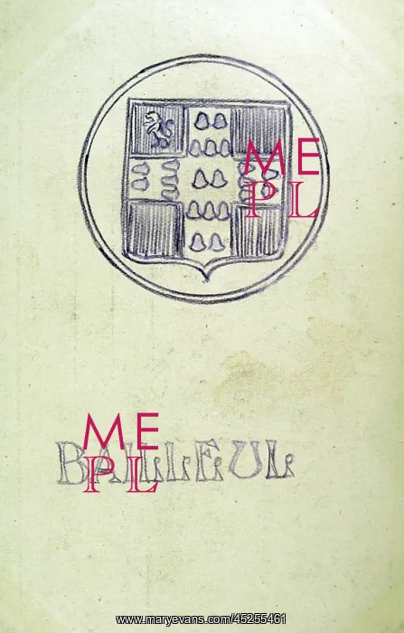 : BAILLEUL Coat of Arms : BAILLEUL Coat of Arms