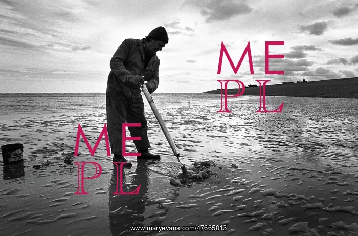 : Bait fisherman, Kent : Bait fisherman, Kent