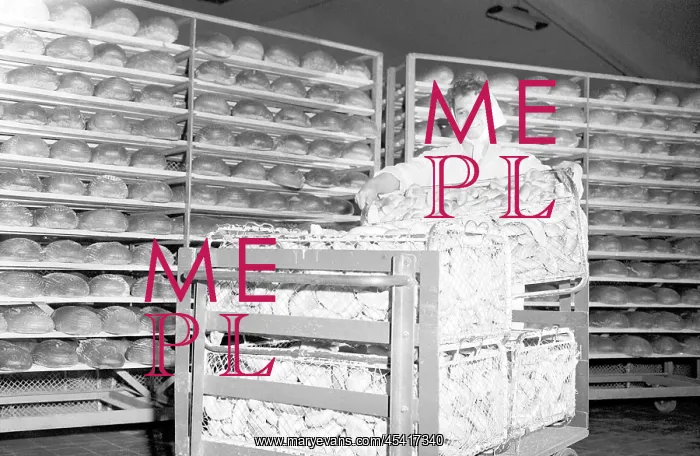 : Baker - bread - food industry - bread : Baker - bread - food industry - bread