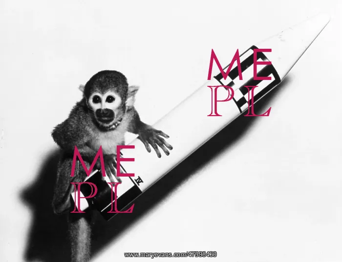 : Baker, First Monkey in Space : Baker, First Monkey in Space