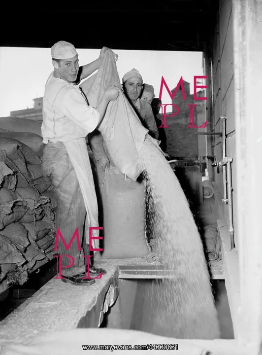 : Italy. Bakers at work : Italy. Bakers at work