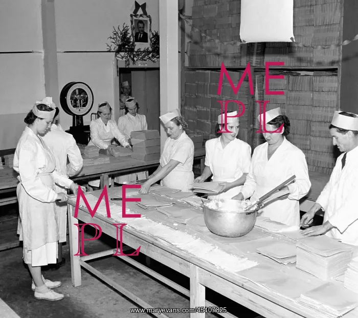  : Bakery. Prague, 1949. Women making dough. CTK Vinatge Photo