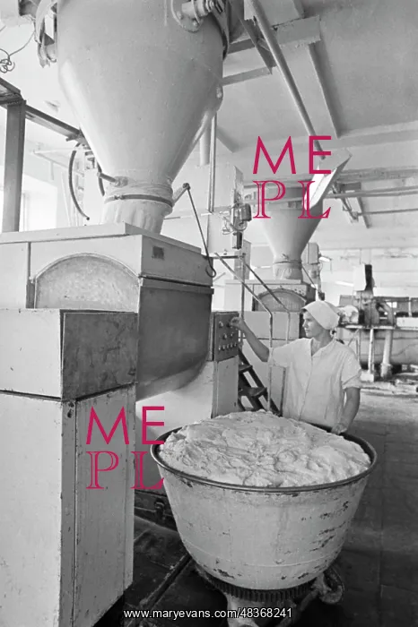 : Bakery Plant No. 6 : Bakery Plant No. 6