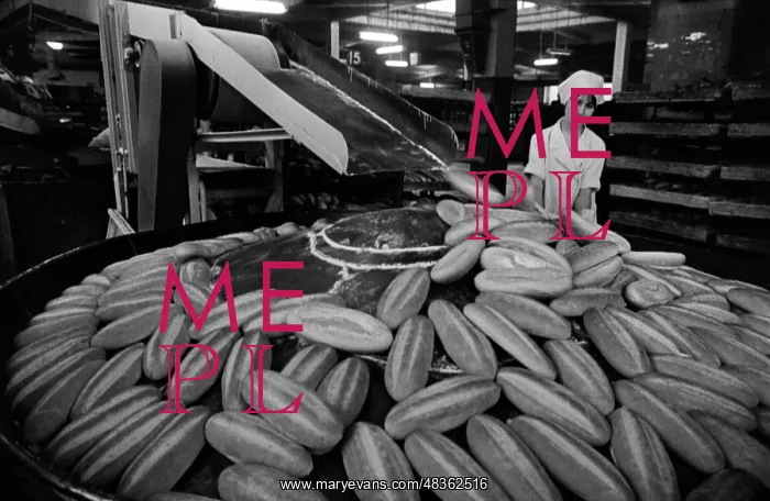 : Bakery production : Bakery production