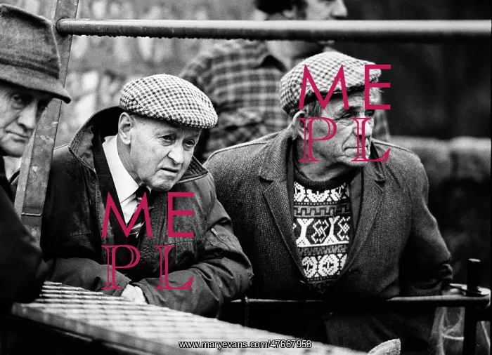 : Bakewell, Derbyshire Cattle Market - 5 : Bakewell, Derbyshire Cattle Market - 5