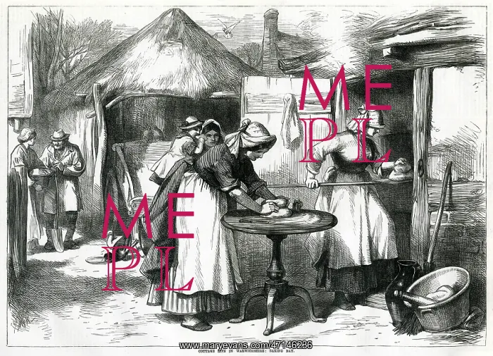 : Baking 1872 : Baking 1872