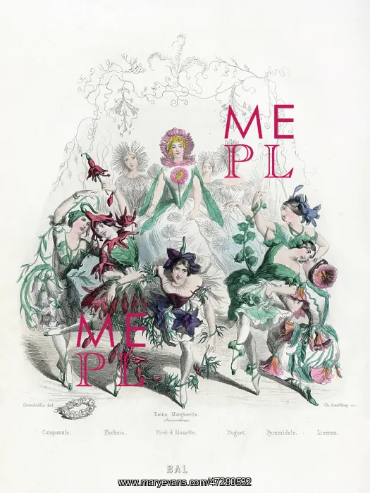 : Bal Des Fleurs 1847 : Bal Des Fleurs 1847