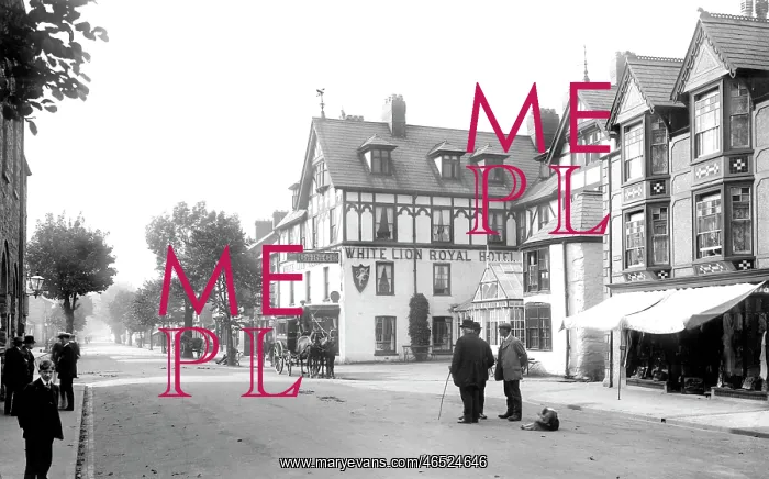  : Bala, the White Lion Hotel 1913