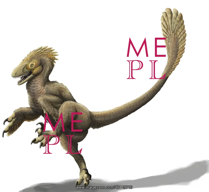 : Balaur bondoc, a strange Romanian dromaeosaur : Balaur bondoc, a strange Romanian dromaeosaur