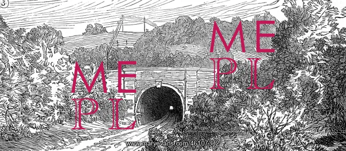 : Balcombe Tunnel 1881 : Balcombe Tunnel 1881