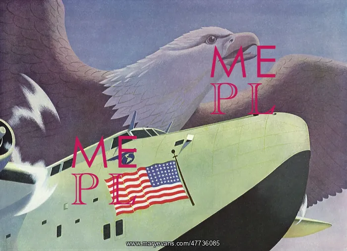  : Bald Eagle and Large Plane