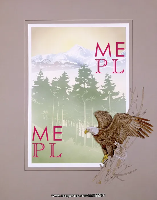 : Bald Eagle and Mountain scenery : Bald Eagle and Mountain scenery