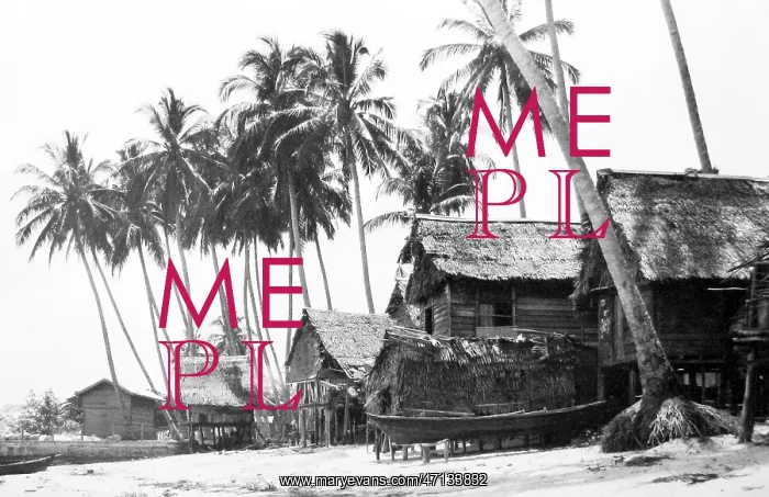  : Bali village in the 1920s