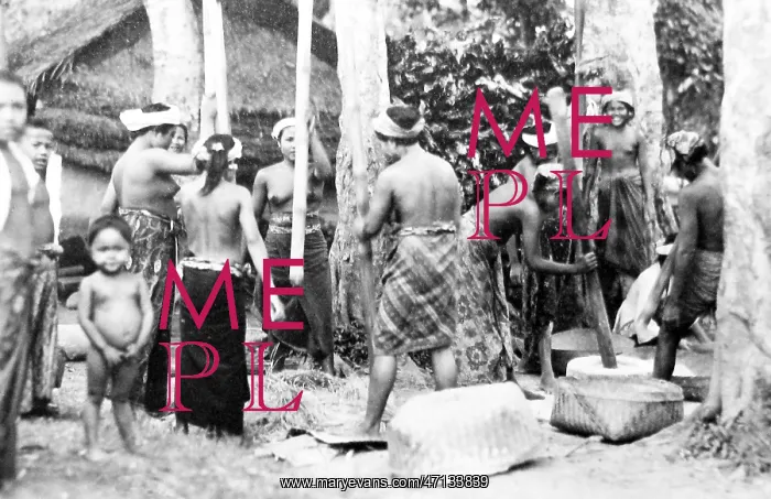  : Bali village in the 1920s