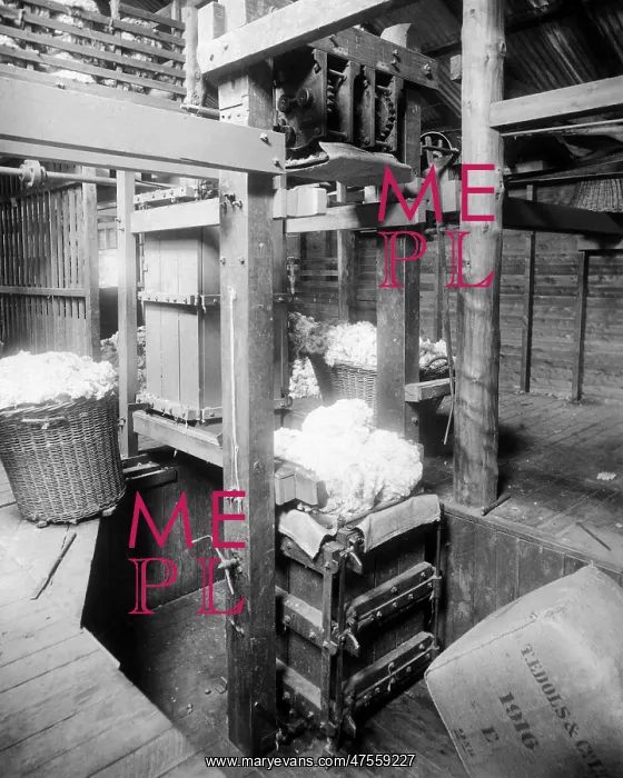 : Baling fleeces, Burrawang, Australia : Baling fleeces, Burrawang, Australia